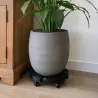 Support plante 360° ajustable