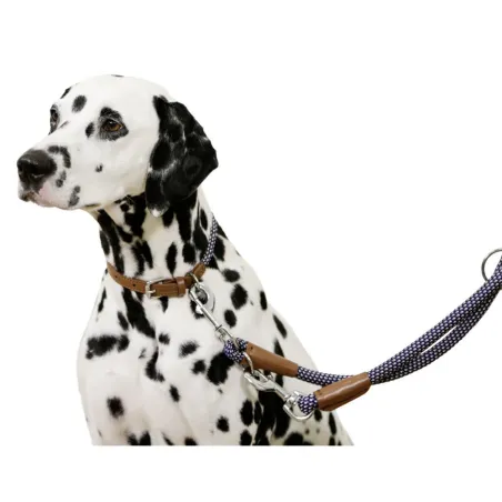 Collier pour chien en corde