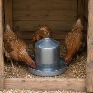 Abreuvoir Poules à Double Parois en Tôle Galvanisée 8 L