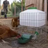 Abreuvoir automatique Gaun 10 L – Hydratation petits animaux