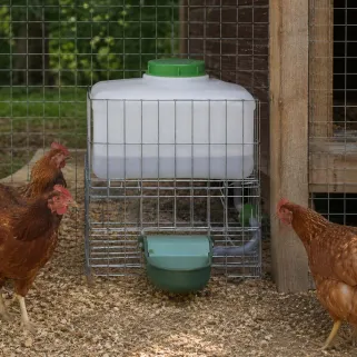 Abreuvoir automatique Gaun 10 L – Hydratation petits animaux