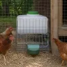 Abreuvoir automatique Gaun 10 L – Hydratation petits animaux