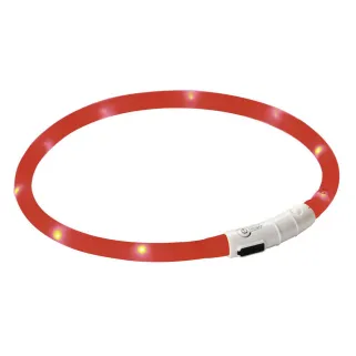 Collier pour chien à LED rechargeable USB