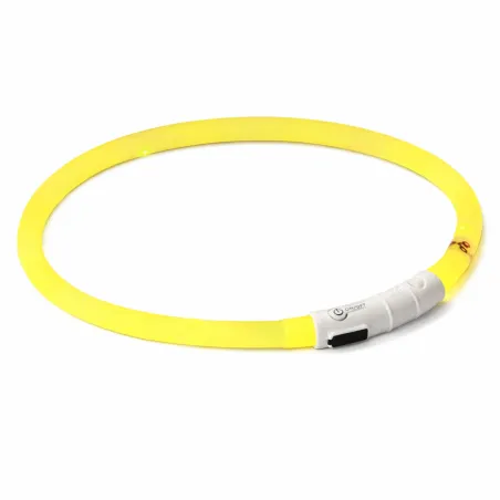 Collier pour chien à LED rechargeable USB