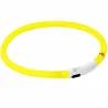 Collier pour chien à LED rechargeable USB