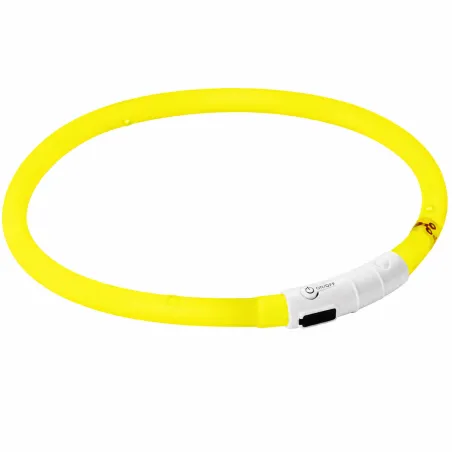 Collier pour chien à LED rechargeable USB
