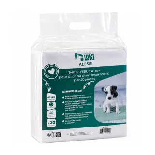 Lot de 20 tapis d'éducation absorbants 60x45 cm