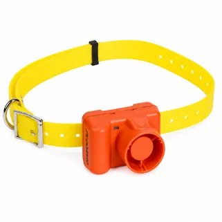 Collier de dressage Prohunt Beeper orange – 2 modes