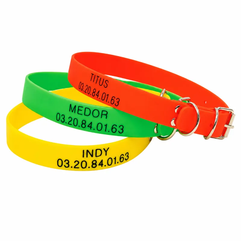 Collier à graver dans la masse PVC 60 X 2,5cm 3 couleurs ajustable