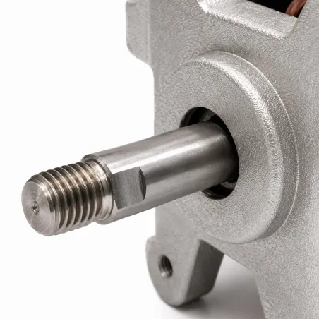 Moteur électrique Magnum 4V pour moulins Novital