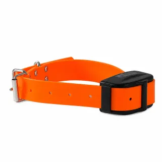 Collier Supplémentaire pour DT2000 en nylon orange