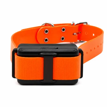 Collier Supplémentaire pour DT2000 en nylon orange