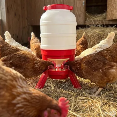 1 Abreuvoir 40L + 1 Mangeoire 30kg - sur pieds