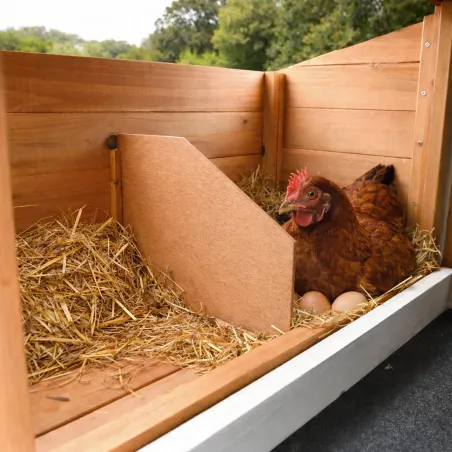 Kit Poulailler 3 poules Bois Confort toit plastique + Enclos