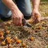 Sécateur Black&Decker® 20cm - Coupe précise et ergonomique