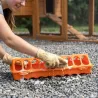 Mangeoire linéaire à trous plastique 30 cm poussins et cailles - Orange GAUN