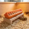 Mangeoire linéaire à trous plastique 30 cm poussins et cailles - Orange GAUN