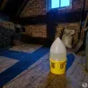 Lot de 5 Abreuvoirs siphoïde pour pigeons 5L - RIVER