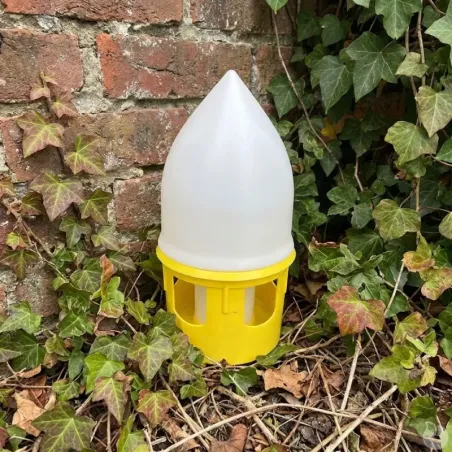 Lot de 5 Abreuvoirs siphoïde pour pigeons 5L - RIVER