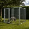 Kit chenil barreaux carré 2 x 2 m