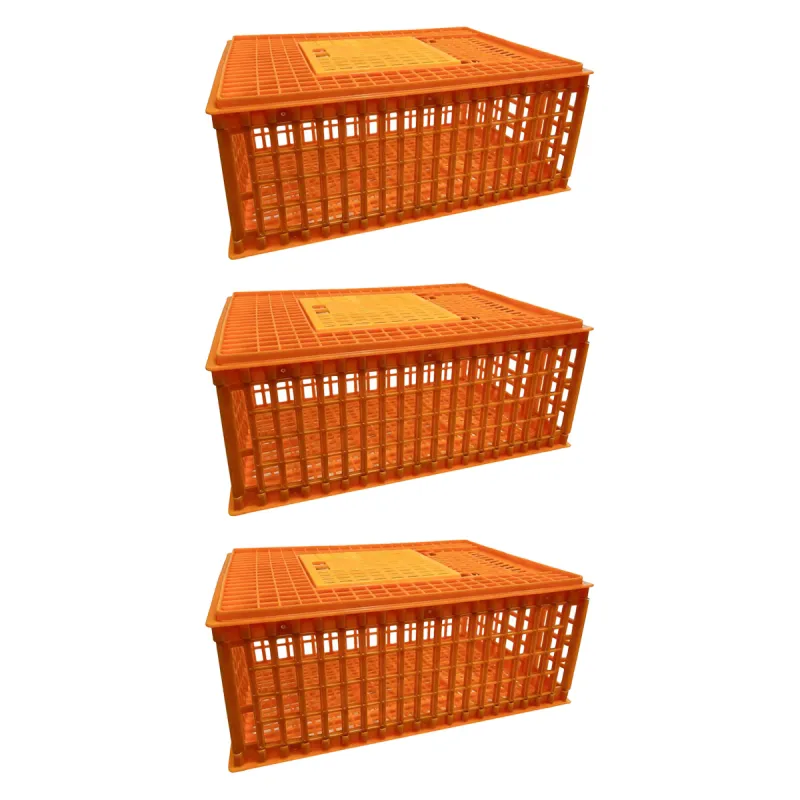 Lot 3 caisses de transport pour volaille