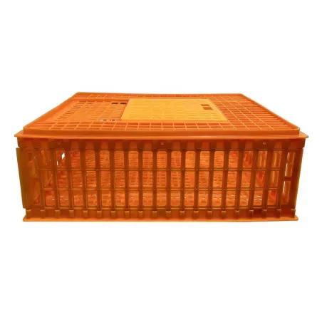 Lot 3 caisses de transport pour volaille