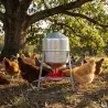 Lot de 2 Abreuvoirs poules et volailles métal galvanisé 30 L sur pieds