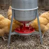 Lot de 2 Abreuvoirs poules et volailles métal galvanisé 30 L sur pieds