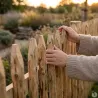 Ganivelle en Châtaignier - Longueur 5m x Hauteur 1,5m - Espacement 6-7 cm