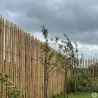 Ganivelle en Châtaignier - Longueur 5m x Hauteur 1,5m - Espacement 6-7 cm