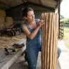 Ganivelle en Châtaignier - Longeur 10m x Hauteur 1,20m - Espacement 6-7cm