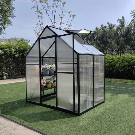 Serre de Jardin en Aluminium avec Polycarbonate 119x177x192cm - Transparente et Verte