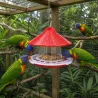 Mangeoire oiseaux de volière plastique 2kg