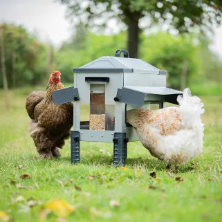 Mangeoire Robust® 18 kg canards, oies et poules | Ducatillon