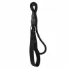 Laisse chien polyester 120 cm - robuste et pratique