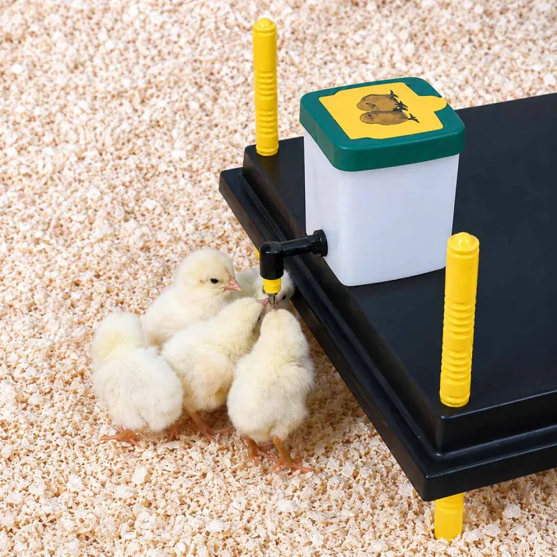 Abreuvoir à pipette poussins et cailles 1 L Olba