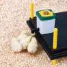 Abreuvoir à pipette poussins et cailles 1 L Olba