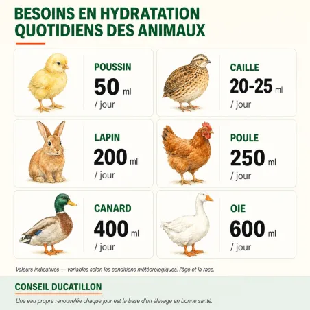 Abreuvoir poules et volailles 30 L en métal galvanisé sur pieds | Ducatillon
