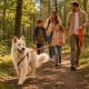 Longe pour chien 5m orange 