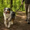 Longe pour chien 5m kaki 