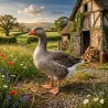Lot de 100 Bagues de marquage 2026 canards, cygnes, oies et poules