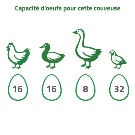 Couveuse automatique Couvitech SP-16 - 16 oeufs idéale débutant incubation