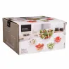 Lot de 5 Saladiers en Verre Sodalime - Grand Modèle + 4 Petits