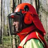 Casque forestier complet orange pour homme - Protection intégrale EN 397+A1