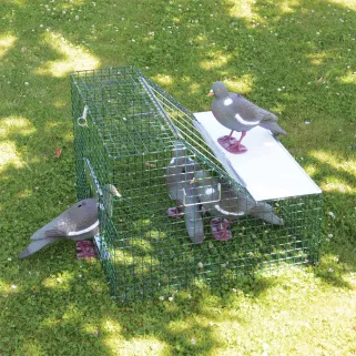 Piège cage à pigeons double entrée 60 X 60 X 45 cm