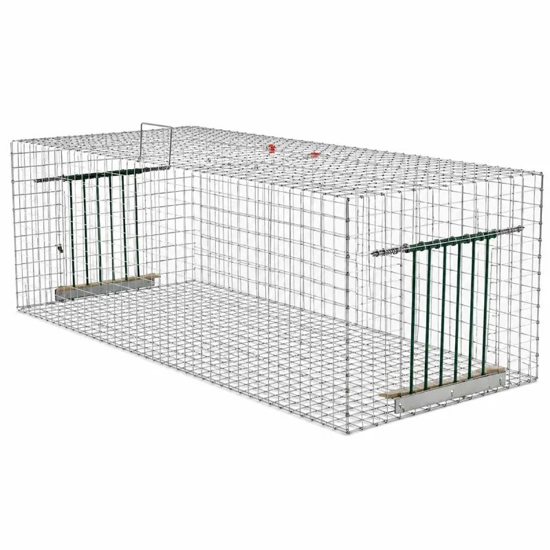 Cage piège à pigeon et étourneaux 100 x 40 x 30 cm