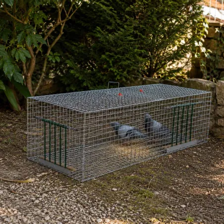 Cage piège à pigeon et étourneaux 100 x 40 x 30 cm