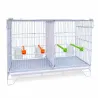 Cage d'élevage canaris