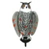 Appelant grand duc à ailes battantes