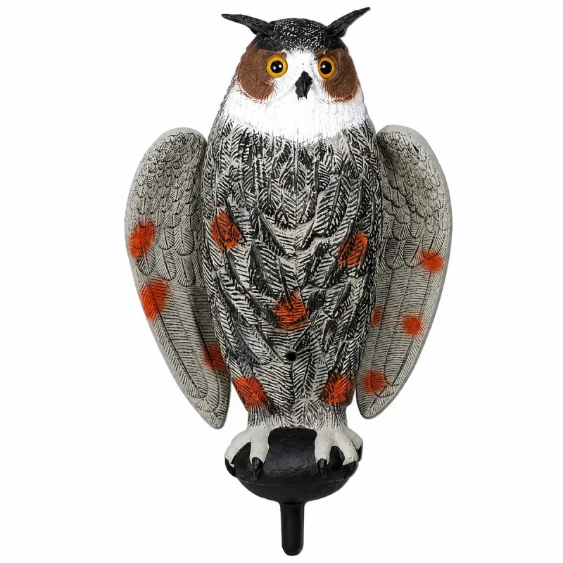 Appelant grand duc à ailes battantes